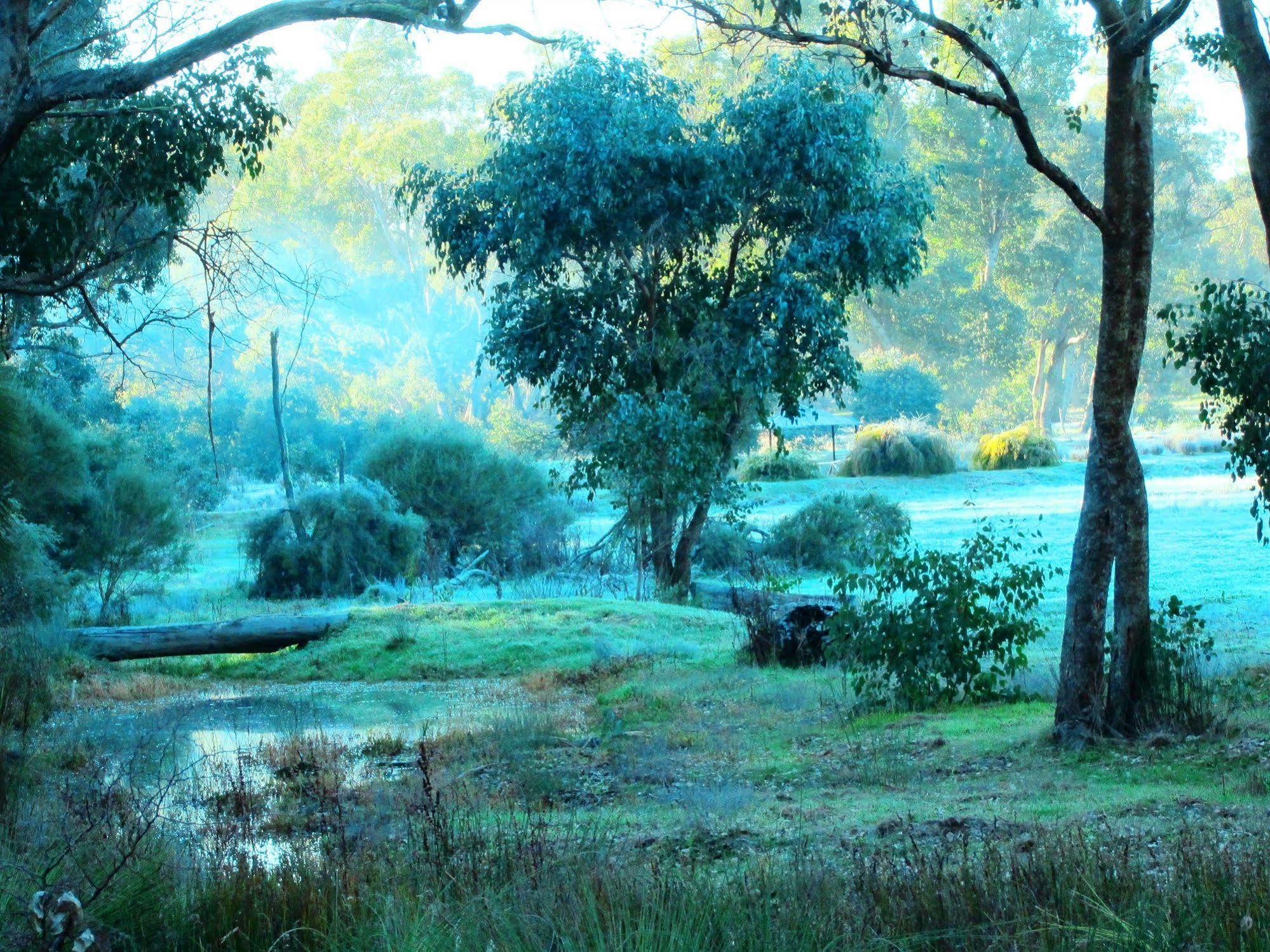 Вілла Hidden Grove Retreat Boyup Brook Екстер'єр фото